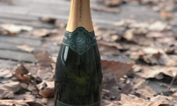 Champagne De Sloovere - Pienne - Champagne Carte d'Or Brut x6