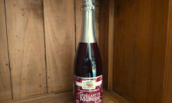Le Domaine du Framboisier - Pétillant de Mûroise sans alcool 75cl