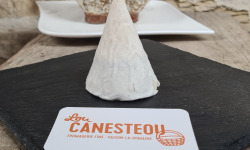 Lou Canesteou - Mont Ventoux