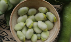 Ferme de Carcouet - Fèves Bio - 500 g