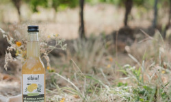 Sibio - Thé matcha pomme menthe poivrée - 33cl