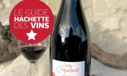 Domaine de la Chopinière du Roy - Lot de 3 Bouteilles de vin rouge Saint Nicolas de Bourgueil cuvée Coquelicot 2024 - 3 x 75 cl