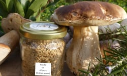 Terres EnVie - Champignon Bio -  Cèpe En Poudre