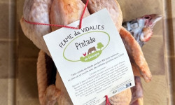 Ferme du Vidalies - lot de 6 pintades de 1,6kg