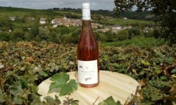 Domaine Doudeau-Leger - Sancerre Rosé AOC 2023 - 1 Bouteille