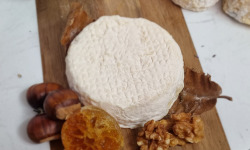 La Finarde - mothais sur feuille  911