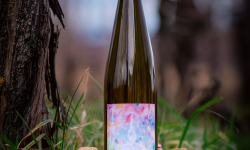 Domaine François WECK et fils - FOIRE AUX VINS : La Cuvée de la Paix  2023 - 75 cl x6