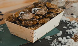 Thalassa Tradition - Huîtres Spéciales N°3 Isigny - 48 pièces