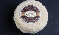 La Fromagerie Marie-Anne Cantin - Lunaire