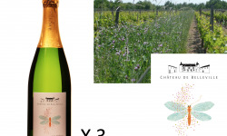 Château de Belleville Maison Baron - Les Festives Blanc AOC Crémant de Loire Brut Blanc de Blanc