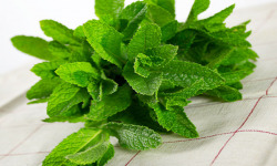 La Boite à Herbes - Menthe Fraîche - Sachet 100g