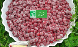 LES JARDINS DE KARINE - Groseilles rouges surgelées - 3kg