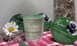 Lait Prairies du Boulonnais - Yaourt brassé à la myrtille x4