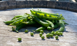 La Boite à Herbes - Petit Pois - 250g