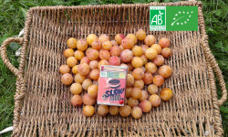 LES JARDINS DE KARINE - Mirabelles BIO / Moriviller / Lorraine - 1kg