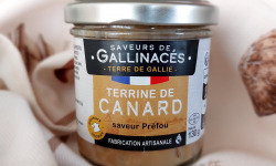 Terre de Gallie - TERRINE DE CANARD SAVEUR PREFOU NOUVEAUTE AUTOMNE 2025