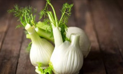 Les Jardins de Gérard - Fenouil Bio - 1 kg