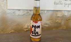 Des Poules et des Vignes à Bourgueil - Jus de pomme pétillant