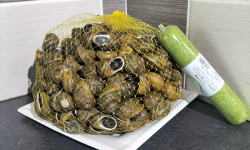 Le Paradis d'Escargot - ESCARGOTS GROS GRIS VIF