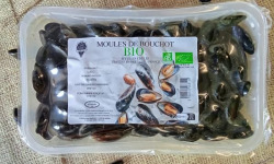 Saint Kerber - Cancale - Moules de bouchot BIO  barquette 1kg