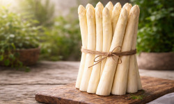 Nature et Saveurs - Ferme Aquaponique et Permacole Astérienne - Asperge blanche 18/22 – équilibre et finesse de printemps
