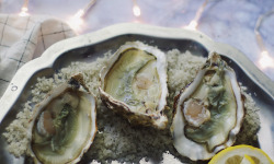 Les Huîtres Courdavault Alain & Fils - Spéciales De Claires Marennes Oléron n°2 -100 huîtres