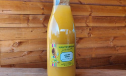 Verger Nantes Prim - Smoothie de kiwi jaune (75 cl)