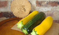 Ferme de Cernunnos - Mix de courgettes colorées bio - 500g
