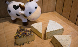 Fromagerie du Pichet - Plateau découverte Tommes 800g