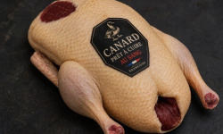 Des Poules et des Vignes à Bourgueil - Canard au sang