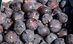 Délit de Gourmandise - Figues Noires Fraiches Bio - 2 kg
