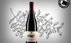 Boucherie Moderne - Vin rouge Le Passage - Saint-Joseph 75cl