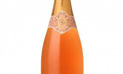 Champagne De Sloovere - Pienne - Champagne De Sloovere Pienne Rosé x6