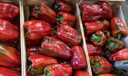 La Boite à Herbes - Poivrons Rouges-500 g