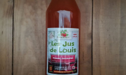 Le Domaine du Framboisier - Les Jus de Louis Pomme/Rhubarbe 100% Pur Jus 1L