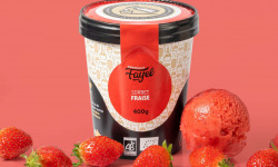 Mademoiselle Fayel - Sorbet Fraise gourmand et rafraichissant - 100% Bio 500ml