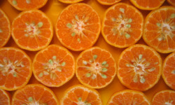 Le Jardin des Antipodes - Mandarine Traditionelle 'blidah' Bio - 5kg