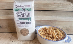 Famille Rochefort - Grains 100% petit épeautre bio 10kg