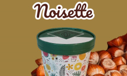 Chaloin Chocolats - Crème glacée Noisette