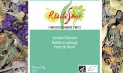 Résilisens - La Verveinée