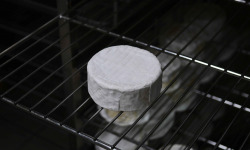Alléosse Maitre Artisan Affineur Fromager - Barisien au lait cru (1/2)