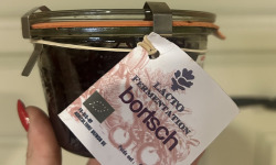 ChâteauFer - Lactofermentation de Bortsch