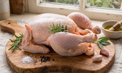 Terres de Bon Sens - [Précommande] Poulet BIO mini env 1,5kg