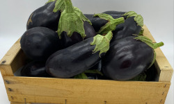 Le Panier du Producteur - Aubergine - 1Kg