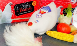 SCEA DES BRESSANS - GUILLERMIN Vincent - [Précommande] Chapon de Bresse AOP effilé - Noël - 3kg