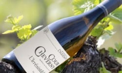 Domaine Daridan - Vin AOC Cour Cheverny Blanc 2018 "L'Irrésistible"