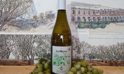 Cave Creuzet - Les Caves aux Caux - AOC Coteaux du Vendômois Blanc "Les Maizes" 2024