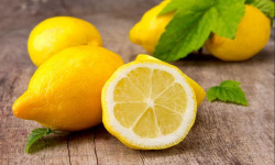 Les Jardins de Gérard - Citron Bio - 1  x 6 KG