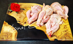 Boucherie Charcuterie Traiteur Lionel Ghérardi - Caille x 4