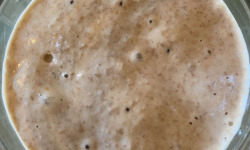 Ferme Sinsac - Levain au blé, grand épeautre et petit épeautre complet 200 grs